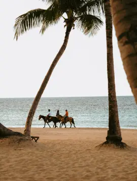 Group of people horseback riding along a scenic beach in Mauritius at sunset