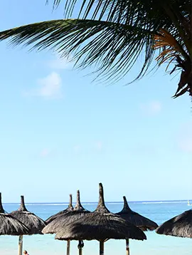 Veranda Palmar
