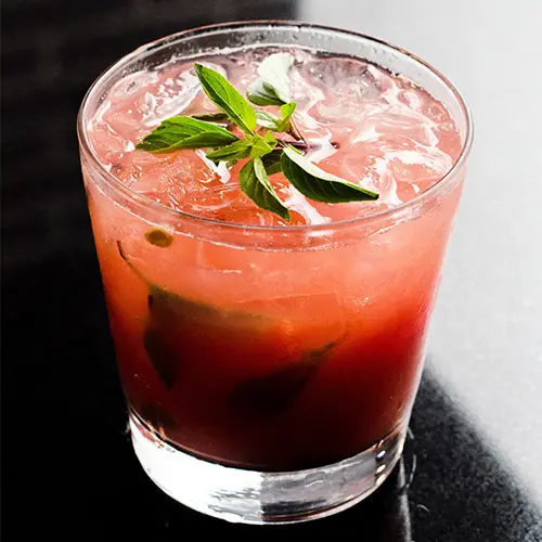 bar-cocktail-mauritius