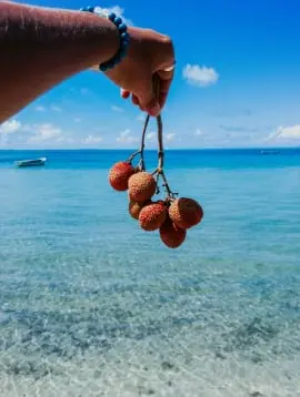 Un homme tenant des litchis dans sa main sur la plage