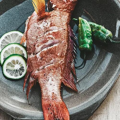 Local Fresh Fish Mauritius